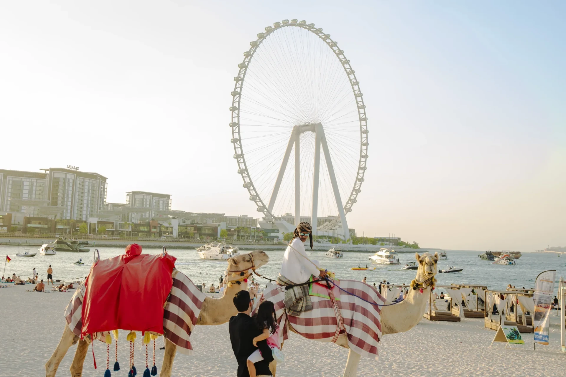 Camels on the beach at Bluewaters with Ain Dubai behind